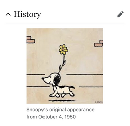 IMG_5422.png