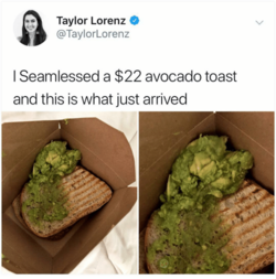 taylor-lorenz-_-taylorlorenz-i-seamlessed-a-22-avocado-toast-35299078.png