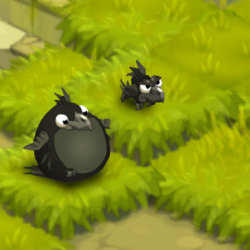 CROWS2v1.png
