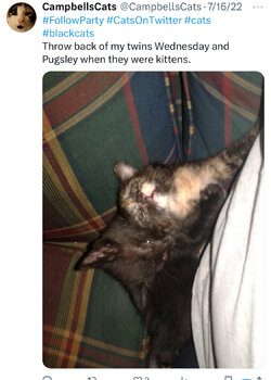IMG_7131.jpeg