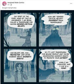 transssss.jpg