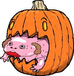 fripumpkin.png