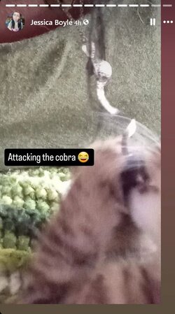 1728419599017.jpeg