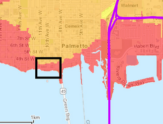 palmetto.png
