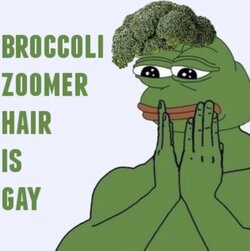 broccoli zoomer haircut is gay.jpg