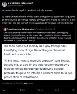 ana detransitioners.jpg