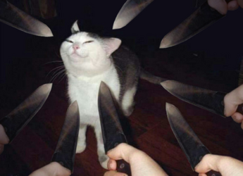 797.png