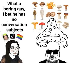 muschroom bob.jpeg