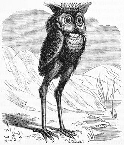 stolas.jpg
