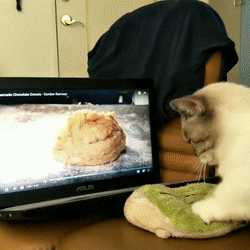 iTzG4wK.gif