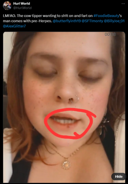 1728508380418.png
