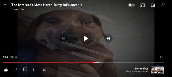 1728511172965.jpeg