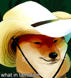 0ed.png