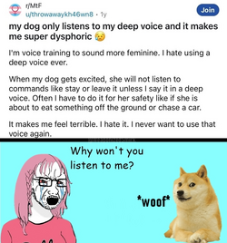 1000016822.png