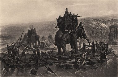 elephant.jpg