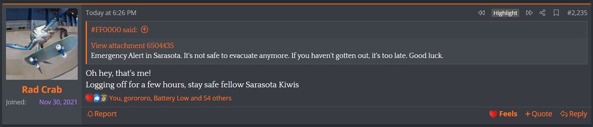 kiwi_5.jpg