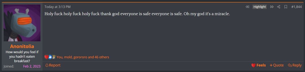 kiwi_4.jpg