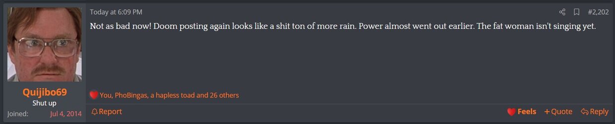 kiwi_1.jpg