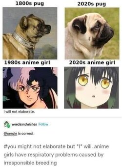 80sanimegirl.jpg