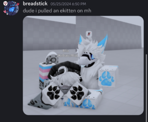 6.png