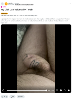 Screenshot 2024-10-11 at 15-48-25 My Dick Can Voluntarily Throb! r_phallo.png