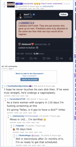 Actuallesbians.png