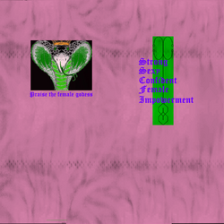 cobeshirtbase_impowerment2.png