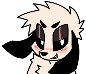 IMG_2622.png