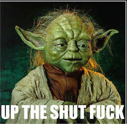 shut the fuck up - yoda.jpg