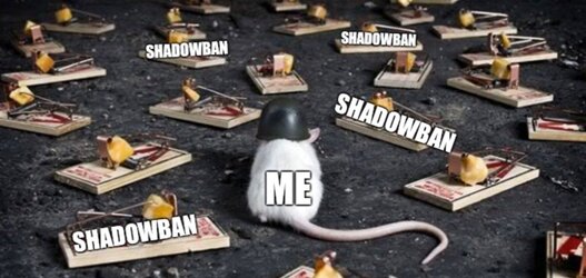 F8Ovv4pWUAE5b3w.jpeg
