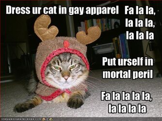 funny-pictures-cat-is-dressed-like-a-reindeer-and-might-kill-you.jpg