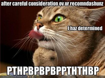 funny-pictures-cat-makes-a-raspberry-at-you1.jpg