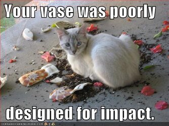 funny-pictures-your-vase-was-poorly-designed-for-cat-impact.jpg