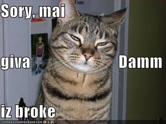 funny-pictures-frankly-my-dear-this-cat-does-not-give-a-damn.jpg