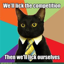 memes-business-cat-competition.jpg