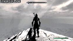 IMG_2279.gif