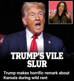 Screenshot_20241012-201747.png