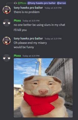 bonus4.png