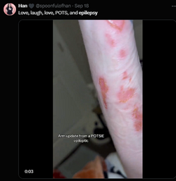 1728833713723.png