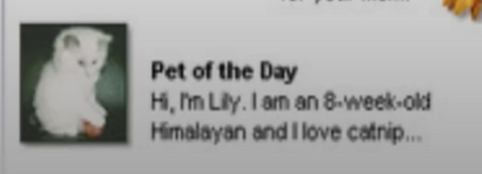 lily.png