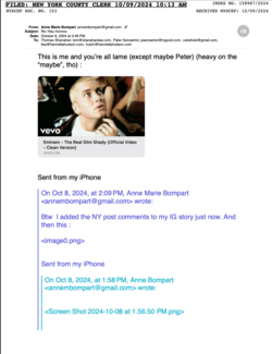 Screen Shot 2024-10-13 at 12.39.51 PM.png