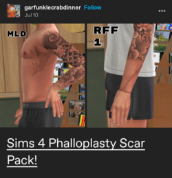 Screenshot_20241013-131216-235.png