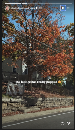 ar_01.png