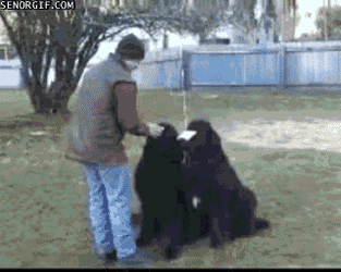 mE22Git.gif