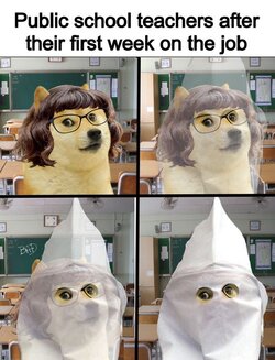 doge-public-teacher-turns-into-kkk-klanswoman.jpg