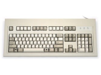 ibm_model_m_beige_us_apl_usb_large.jpg