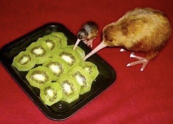 IMG_1772.jpeg
