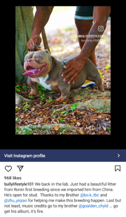 Screenshot_20241014-063833.png
