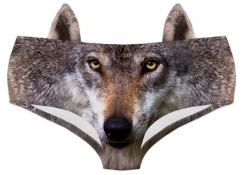 1728917389776.png