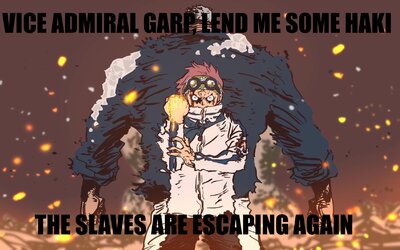 IMG_1969.jpeg